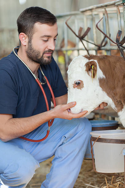 Placeholder veterinary area
